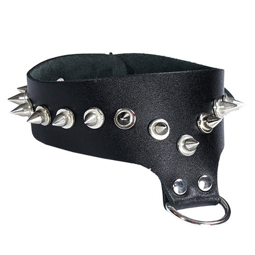 Ledapol Leather collar with spikes