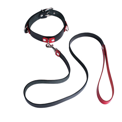 Ledapol leather collar with dog leash