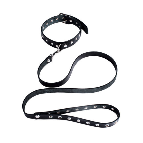 Ledapol leather collar with dog leash